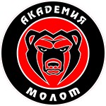 Академия игровых видов спорта Пермского края (Пермь)